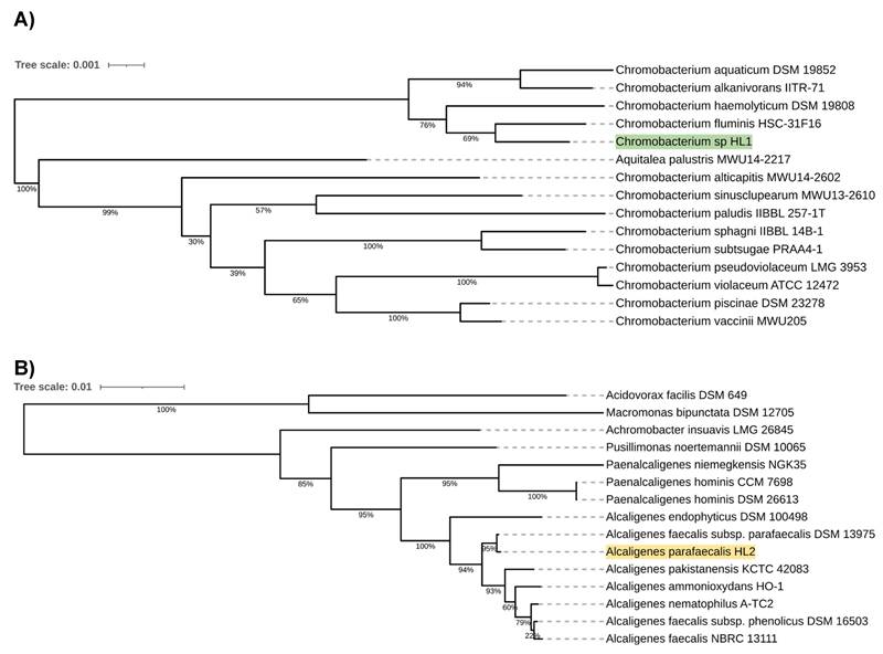 J Genomics Image
