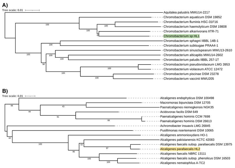 J Genomics Image