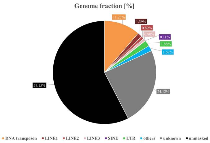 J Genomics Image