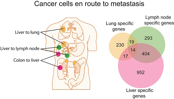 Graphical Abstract sample