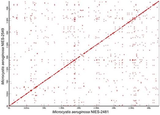 J Genomics Image