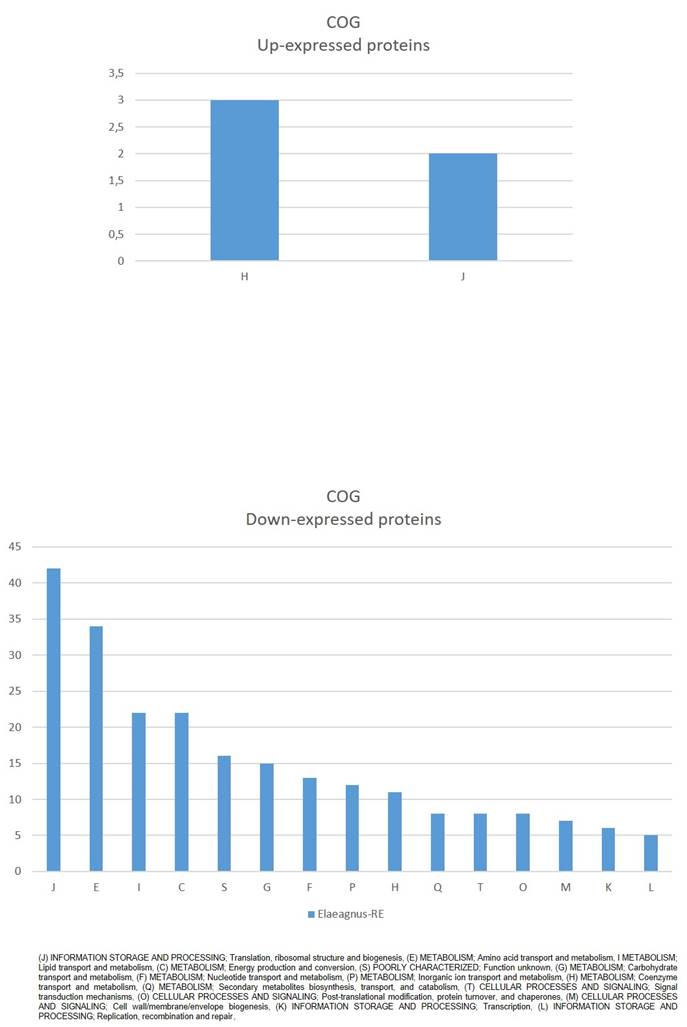 J Genomics Image