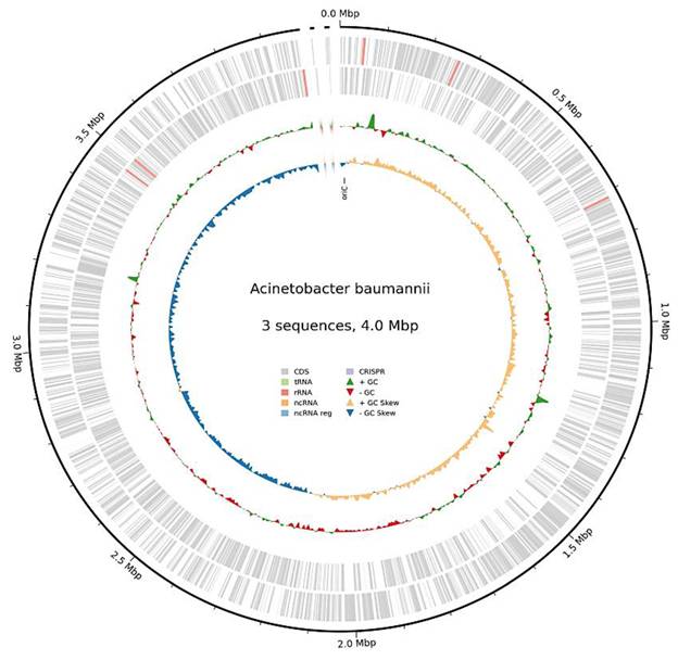 J Genomics Image
