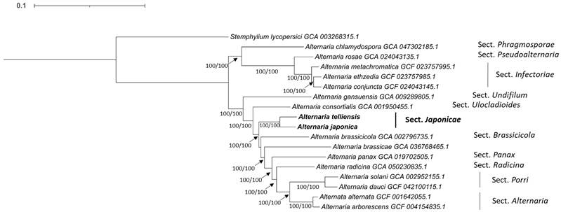 J Genomics Image